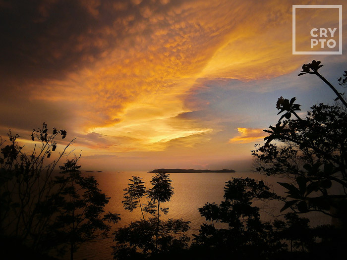 Uncover the world with those who feel the rhythm of the sea breeze